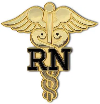 Nursing lapel pin